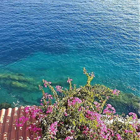 Panorama Lägenhet *